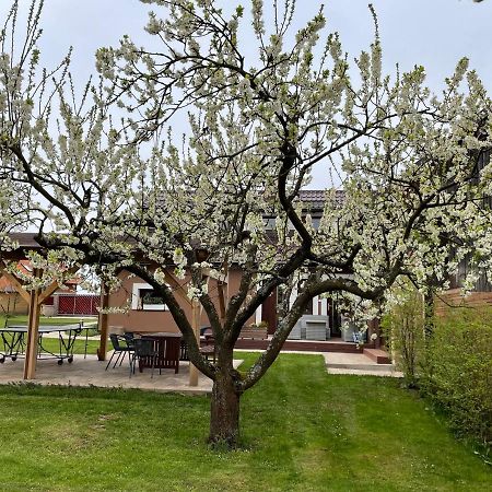 Apartmany U Lipy Tatobity Dış mekan fotoğraf