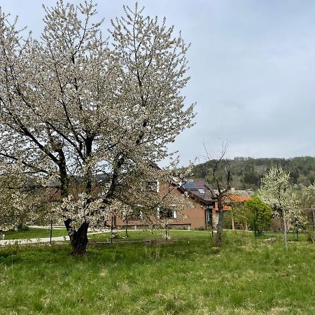 Apartmany U Lipy Tatobity Dış mekan fotoğraf